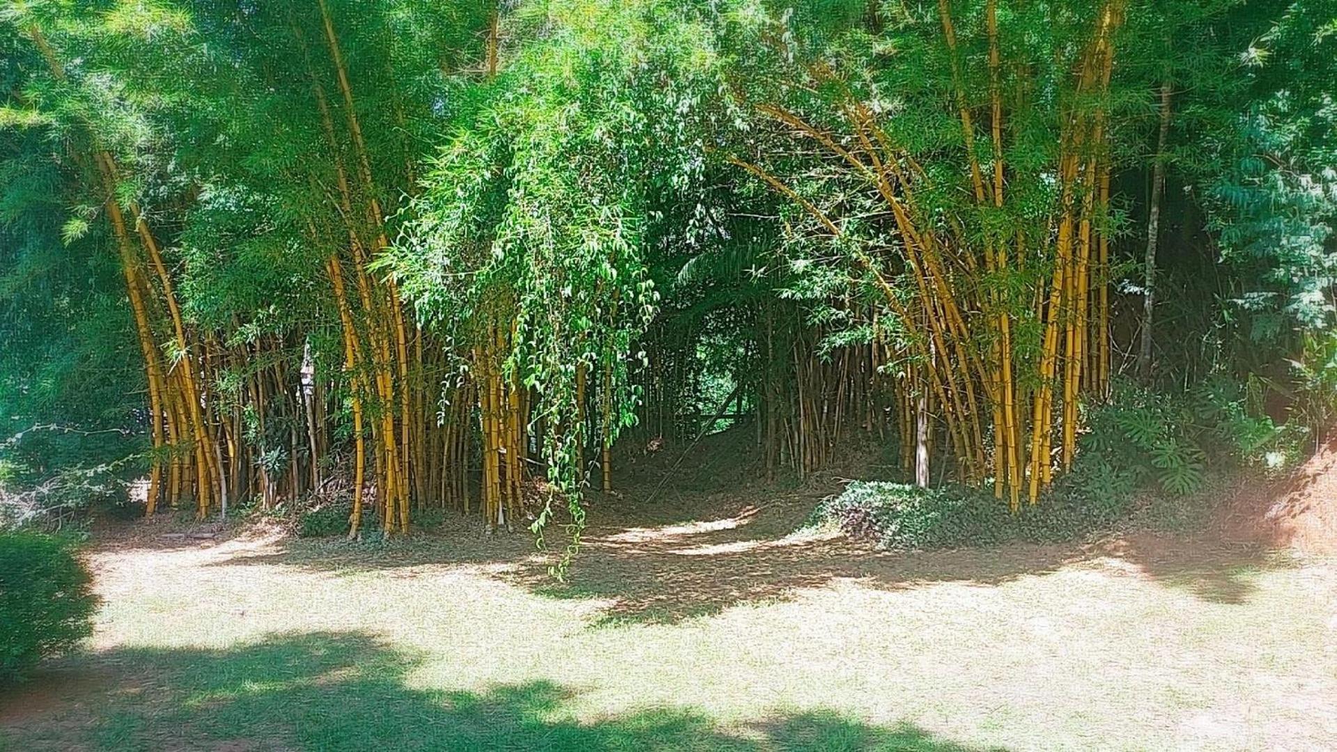 Maison * Petrópolis